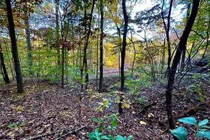 718 Karbers Ridge Rd, Elizabethtown, IL 62931 - Photo 48