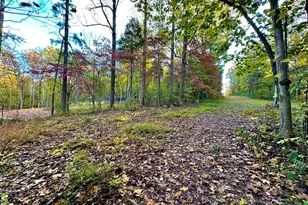 718 Karbers Ridge Rd, Elizabethtown, IL 62931 - Photo 6