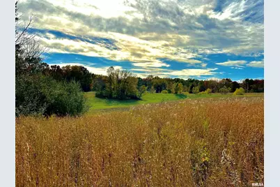 1143 N County Line Road, Cobden, IL 62920 - Photo 14