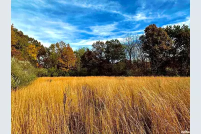 1143 N County Line Road, Cobden, IL 62920 - Photo 12