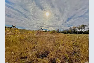 1143 N County Line Road, Cobden, IL 62920 - Photo 6