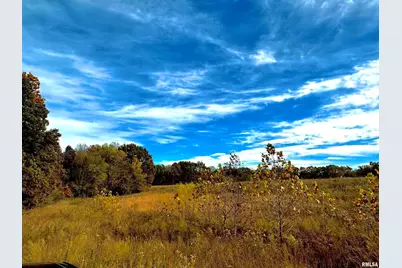 1143 N County Line Road, Cobden, IL 62920 - Photo 8