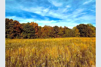 1143 N County Line Road, Cobden, IL 62920 - Photo 20