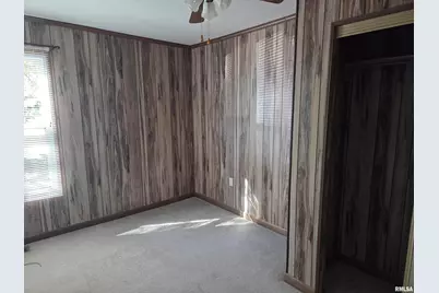 208 W Cherry Street, Springerton, IL 62887 - Photo 10