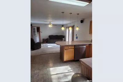 103 E Highline Road, Chicago, IL 62898 - Photo 12