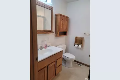 103 E Highline Road, Chicago, IL 62898 - Photo 24