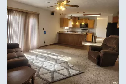 103 E Highline Road, Chicago, IL 62898 - Photo 8