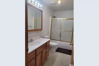 103 E Highline Road, Chicago, IL 62898 - Photo 16