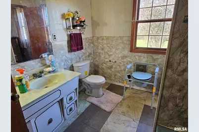 3830 Il-147 Route, Vienna, IL 62995 - Photo 16