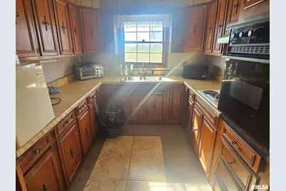 3830 Il-147 Route, Vienna, IL 62995 - Photo 4