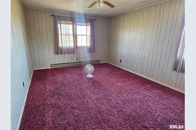 3830 Il-147 Route, Vienna, IL 62995 - Photo 10