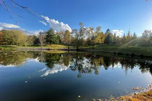 557 Twin Oaks Dr, Cobden, IL 62920 - Photo 10