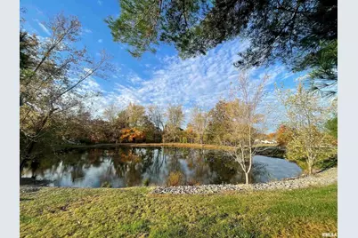 557 Twin Oaks Drive, Cobden, IL 62920 - Photo 8