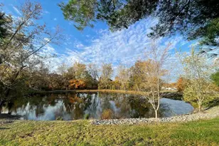 557 Twin Oaks Dr, Cobden, IL 62920 - Photo 8