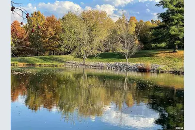 557 Twin Oaks Drive, Cobden, IL 62920 - Photo 52