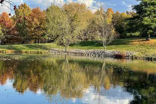 557 Twin Oaks Dr, Cobden, IL 62920 - Photo 52