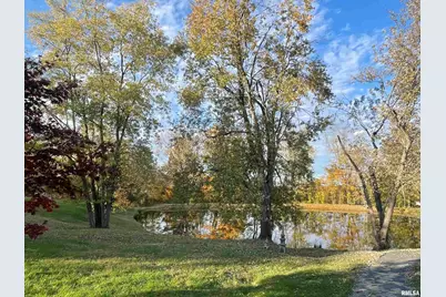 557 Twin Oaks Drive, Cobden, IL 62920 - Photo 6