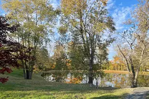 557 Twin Oaks Dr, Cobden, IL 62920 - Photo 6