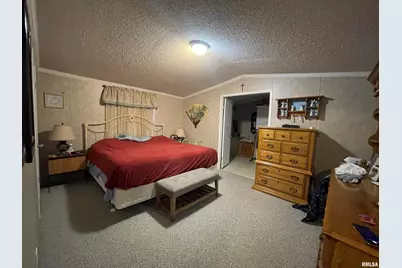 557 Twin Oaks Drive, Cobden, IL 62920 - Photo 22