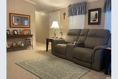 557 Twin Oaks Drive, Cobden, IL 62920 - Photo 18