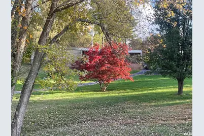 557 Twin Oaks Drive, Cobden, IL 62920 - Photo 46