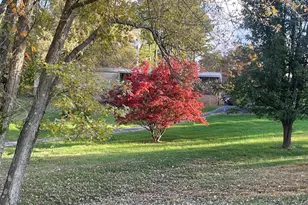 557 Twin Oaks Dr, Cobden, IL 62920 - Photo 46