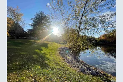 557 Twin Oaks Drive, Cobden, IL 62920 - Photo 40