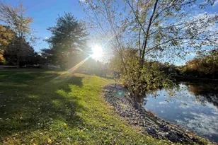 557 Twin Oaks Dr, Cobden, IL 62920 - Photo 40