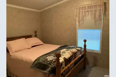 557 Twin Oaks Drive, Cobden, IL 62920 - Photo 30