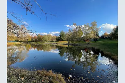 557 Twin Oaks Drive, Cobden, IL 62920 - Photo 42