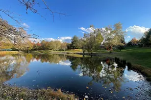 557 Twin Oaks Dr, Cobden, IL 62920 - Photo 42