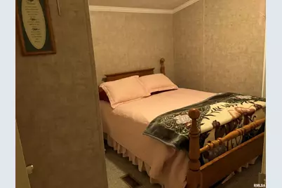 557 Twin Oaks Drive, Cobden, IL 62920 - Photo 28