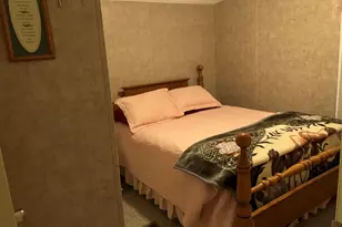 557 Twin Oaks Dr, Cobden, IL 62920 - Photo 28