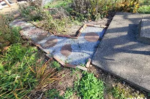 402 Main St, Brighton, IL 62817 - Photo 46