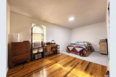 355 Chestnut Street, Alto Pass, IL 62905 - Photo 14