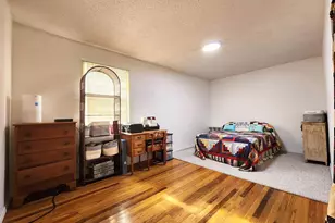 355 Chestnut St, Alto Pass, IL 62905 - Photo 14