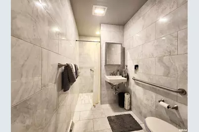 355 Chestnut Street, Alto Pass, IL 62905 - Photo 10