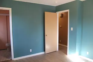 3287 Selmaville Rd Rd, Salem, IL 62881 - Photo 16