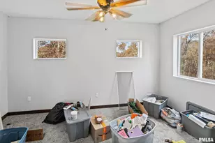 7984 Wilson Rd, Kinmundy, IL 62854 - Photo 28