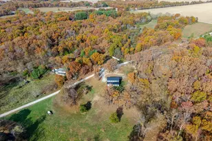 7984 Wilson Rd, Kinmundy, IL 62854 - Photo 34