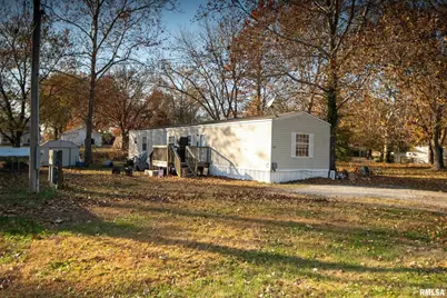 101 Poplar Street, Desoto, IL 62924 - Photo 34