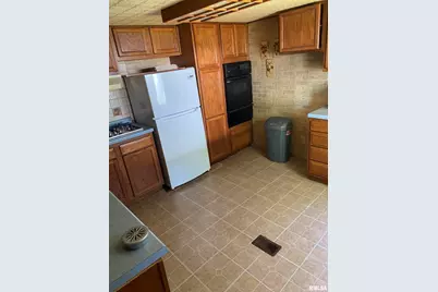 101 Poplar Street, Desoto, IL 62924 - Photo 14