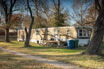 101 Poplar Street, Desoto, IL 62924 - Photo 36