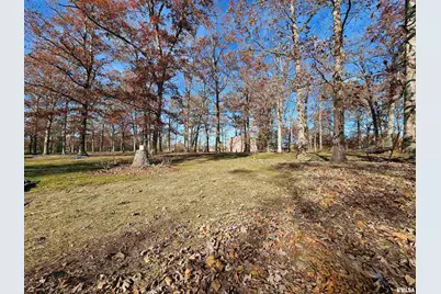 4248 Church Road, Salem, IL 62881 - Photo 38