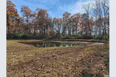 4248 Church Road, Salem, IL 62881 - Photo 34