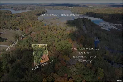 1629 Firewood Lane, Centralia, IL 62801 - Photo 24