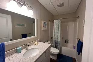 895 Lake Shore Dr N, Orangeville, IL 62939 - Photo 50