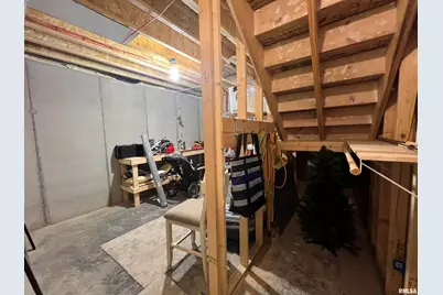 895 Lakeshore Drive N, Orangeville, IL 62939 - Photo 58