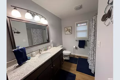 895 Lakeshore Drive N, Orangeville, IL 62939 - Photo 34