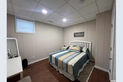 895 Lakeshore Drive N, Orangeville, IL 62939 - Photo 46